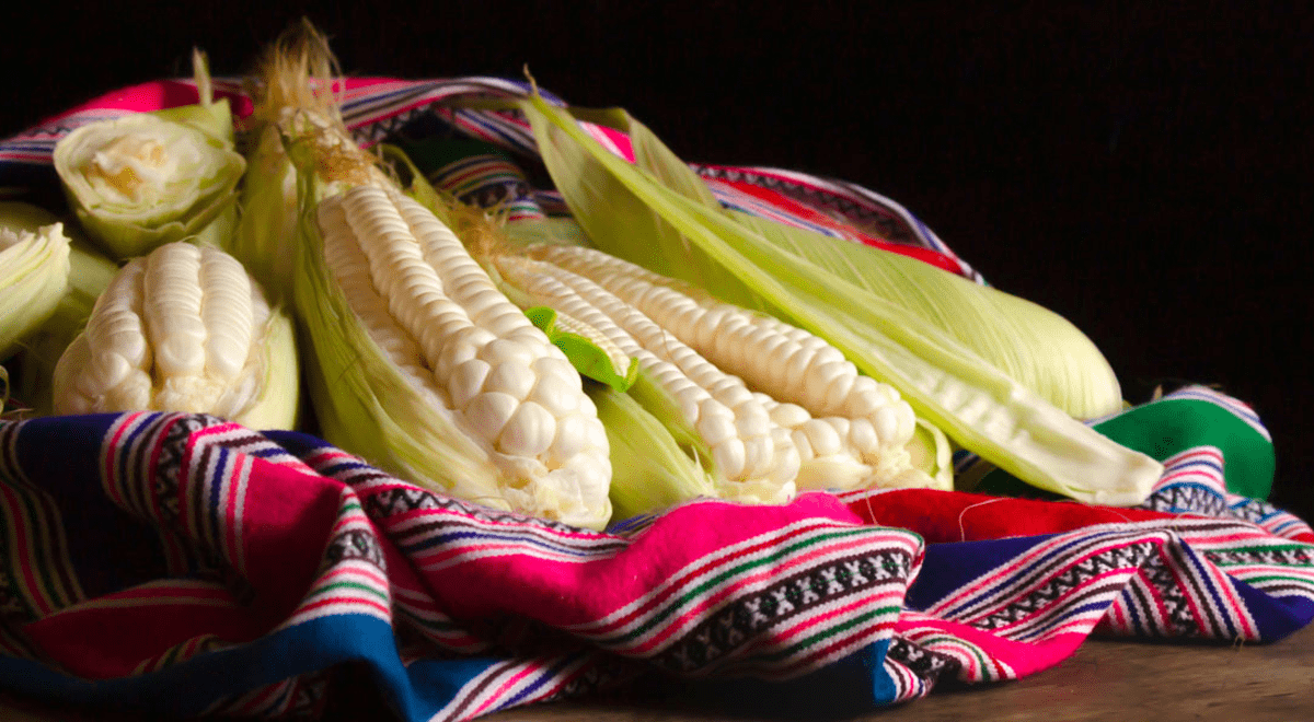 El maíz de Urubamba es el mejor del mundo? 