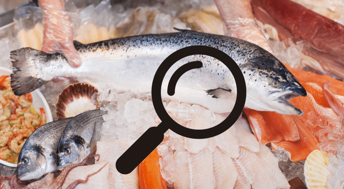 Evita una intoxicación: Trucos para escoger pescado fresco