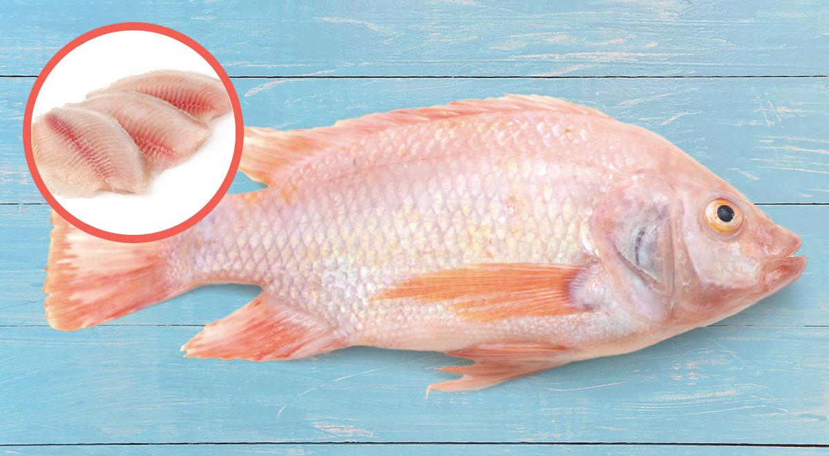 Tilapia ¿es saludable? Buenazo.pe