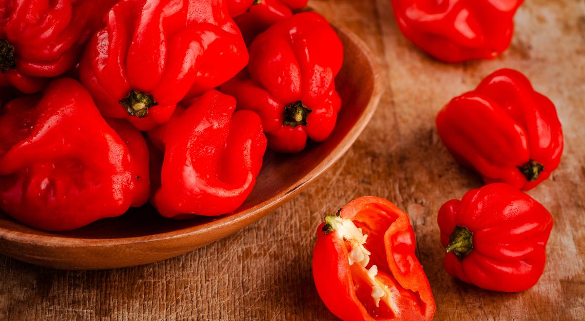 ¿Cómo saber si el rocoto pica al cortarlo? El truco de la vena