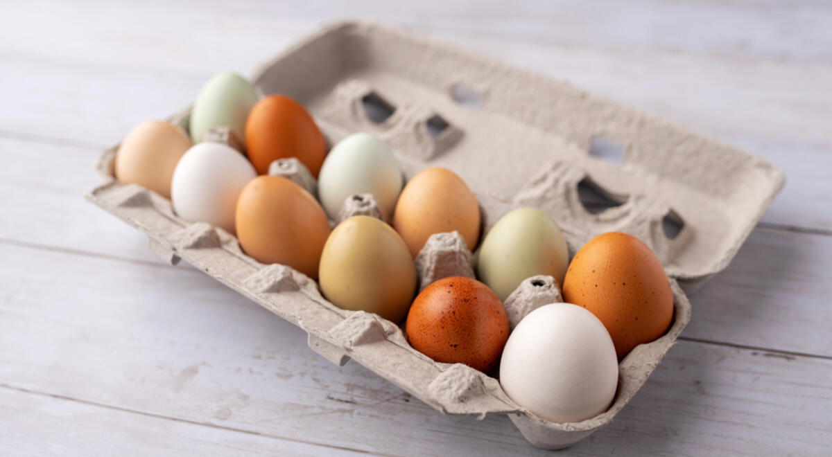 huevos de corral