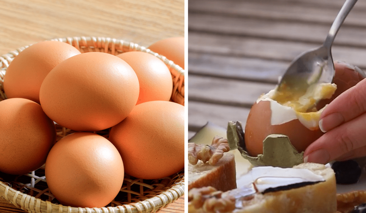 huevos y huevo pasado
