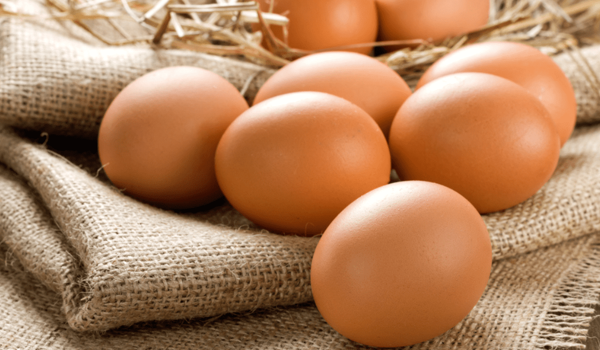 Huevos