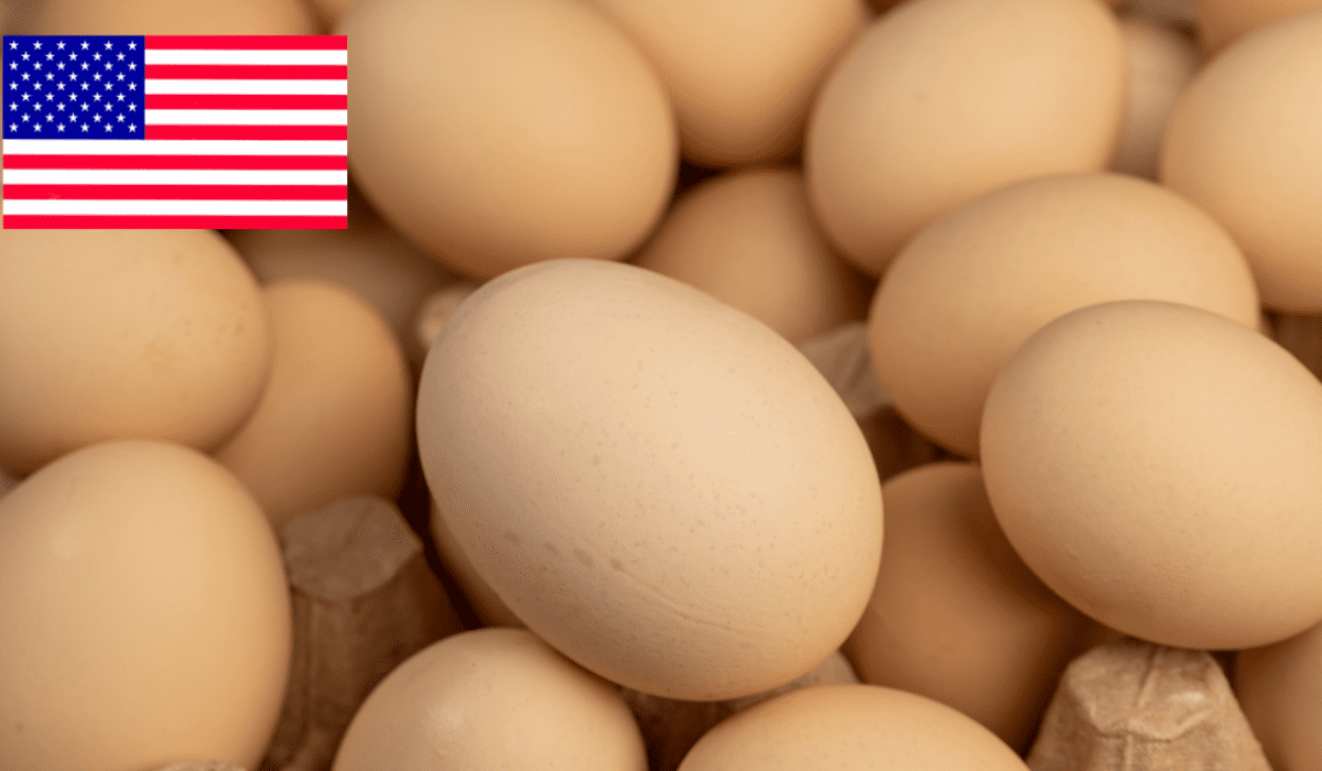 En más de 5 estados fueron distribuidos los huevos contaminados.