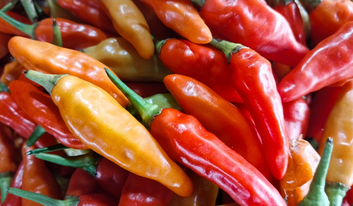 ¿Consumes ají? Un estudio revela cómo este alimento mejora el metabolismo y la salud cardiovascular