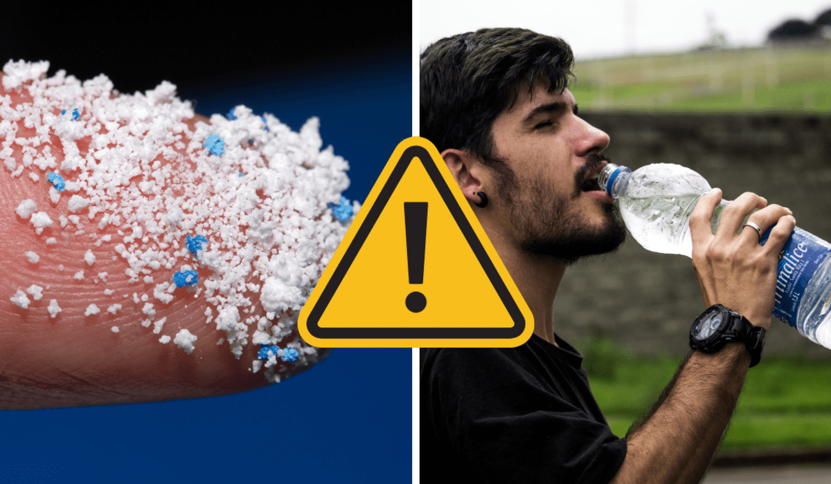 Presencia de micro plásticos en las botellas de agua