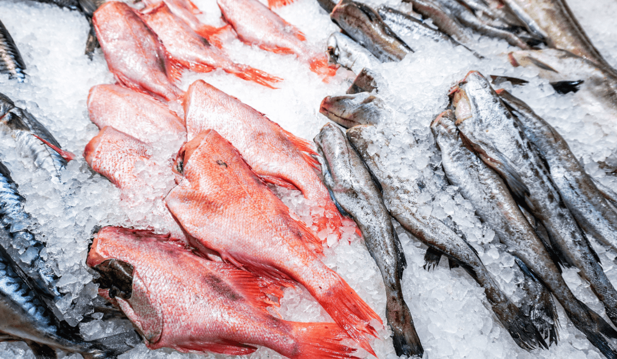 ¿El pescado congelado es igual de bueno que el fresco? Esto reveló reconocido chef.