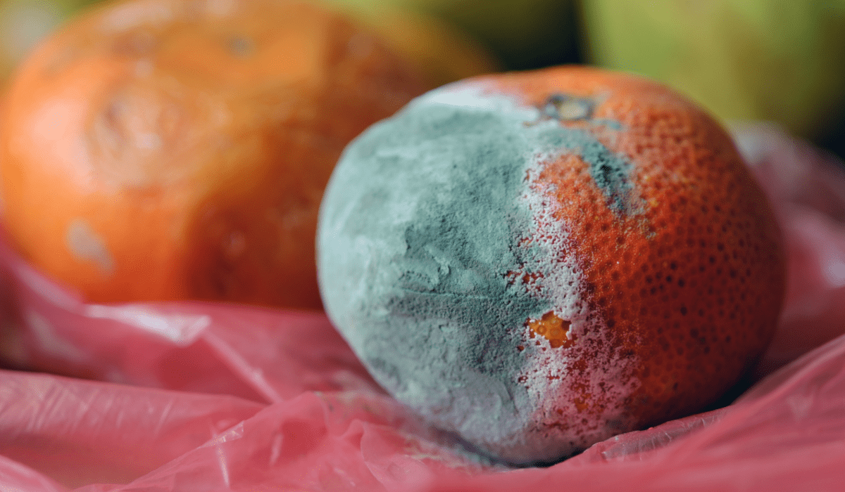 Evita la fruta con moho del refrigerador.