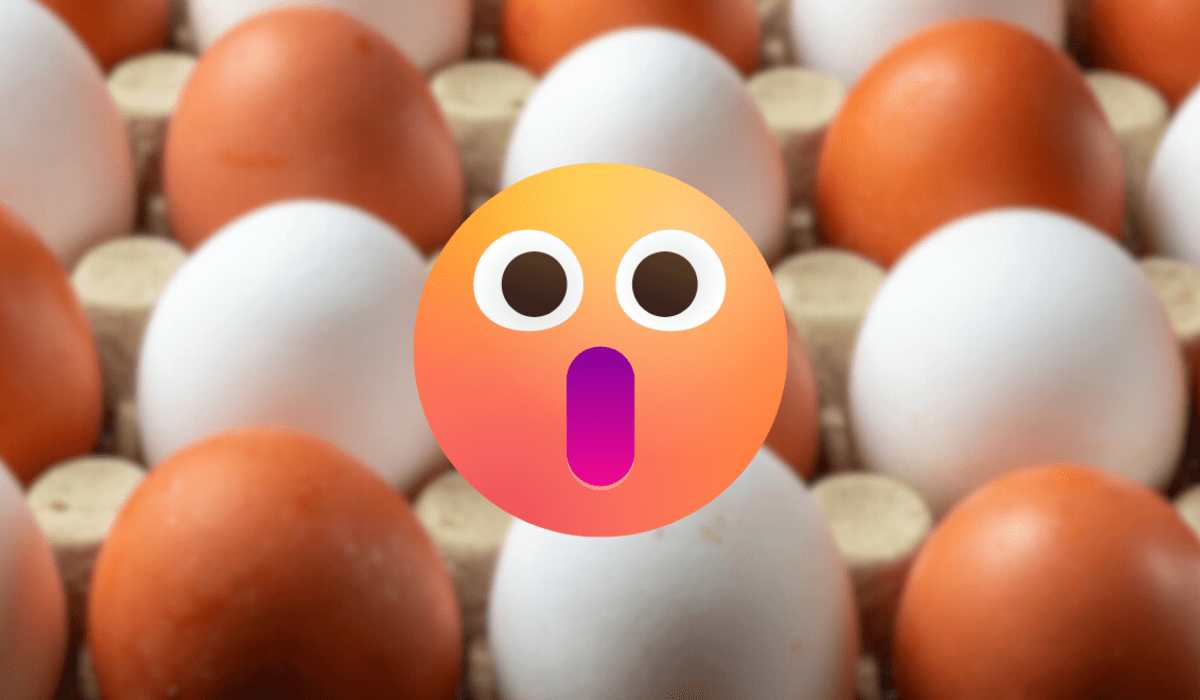 ¿Huevos blancos o marrones? Esto es lo que revelan los expertos