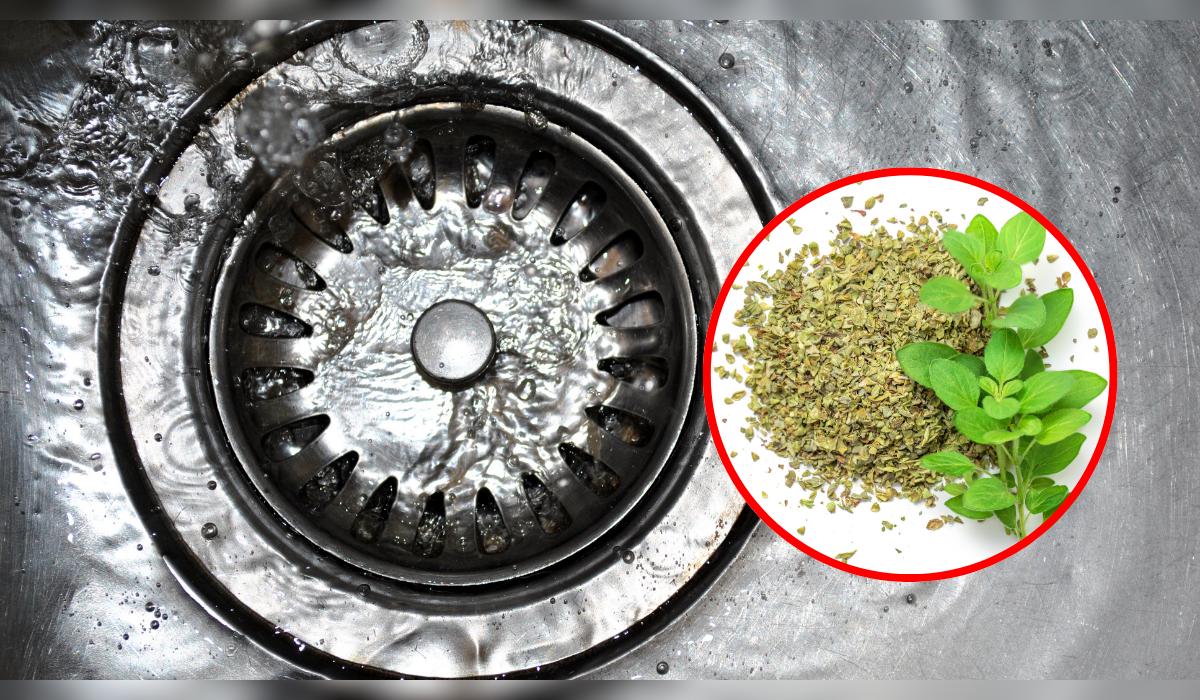 El condimento de tu cocina podría ser la solución al mal olor del caño.