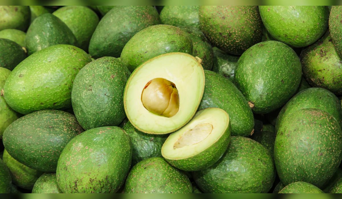 Este país latinoamericano se adueña del mercado mundial de aguacate