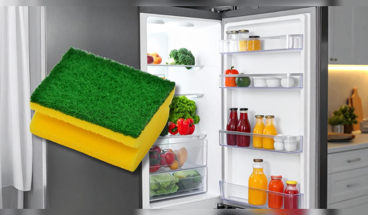 Una esponja seca puede evitar moho y malos olores en la refrigeradora.