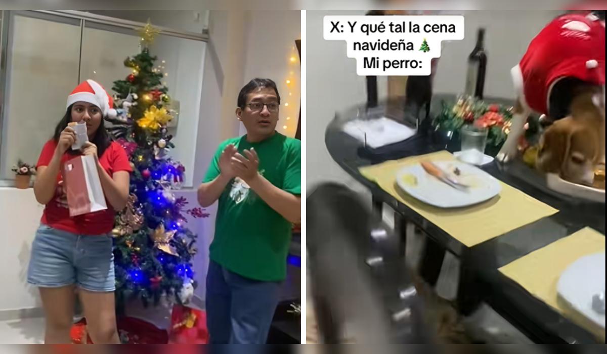 Perrito devora la cena navideña.