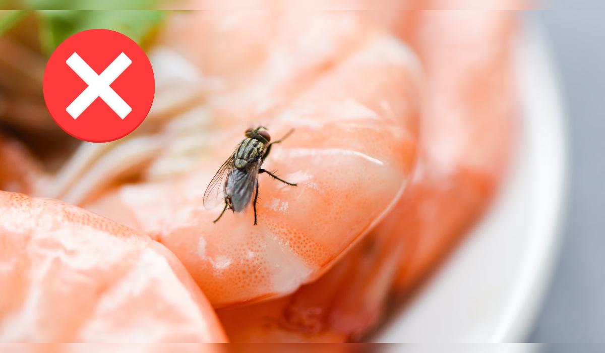 Las moscas de la fruta, también conocidas como drosophila melanogaster, son atraídas por azúcares y fermentación. Aunque parezcan imposibles de erradicar, hay soluciones naturales para mantener tu cocina libre de ellas.