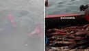 Pescadores preocupados por el exceso de pota: ¿cuánto cuesta el kilo?