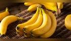platano