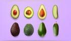 Variedades de palta