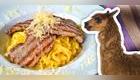 Lomo de alpaca y fideos con huancaína / Alpaca