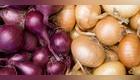 cebollas blanca y roja