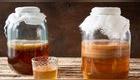 kombucha
