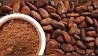 cacao y cocoa