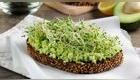 Sándwich con germinados  de alfalfa, palta y pan de centeno.