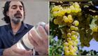 Tiktoker argetino papo.carax con pisco y racimos de uvas pisqueras en los campos de cultivo del desierto de Ica.
