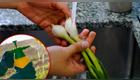 ¿Cómo lavar cebolla china para eliminar pesticidas?