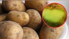 papa con manchas verdes
