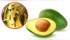palta