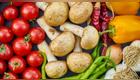 Consumidos por diversos usuarios, los vegetales aportan diversos nutrientes para el cuerpo humano.