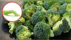 Truco casero para eliminar las lombrices del brócoli.