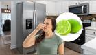 Mal olor en la refrigeradora