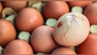 Huevos con grietas, esto dice una especialista.
