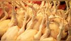 Retiran kilos de pollo por contaminación con metal
