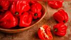como-saber-si-un-rocoto-es-picante