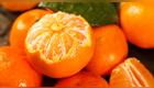 como-elegir-mandarinas