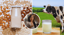 Leche animal vs. vegetal: la leche vegetal no es tan saludable como crees, advierte experta en salud digestiva