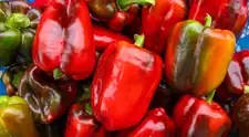 ¿Pimientos macho y hembra? La verdad sobre este mito y cómo elegirlos