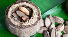 Castaña amazónica: propiedades, beneficios y usos de este fruto de la selva peruana