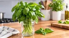 ¿Frío o a temperatura ambiente? Conserva la albahaca fresca sin que se marchite