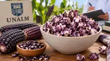 Popcorn morado: UNALM investiga cómo crear canchita de maíz morado