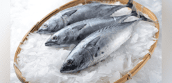 Semana Santa 2024: ¿Cuáles son las ventajas de cocinar con el pescado bonito?