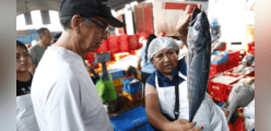 Semana Santa 2024: Conoce el precio del kilo del pescado en el Terminal Pesquero de VMT