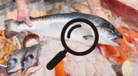 Semana Santa 2024: ¿Cómo escoger pescado fresco fácilmente?