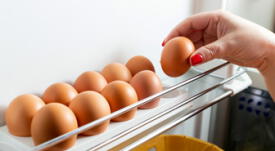 ¿Cómo conservar los huevos en buenas condiciones?