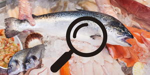 Semana Santa 2024: ¿Cómo escoger pescado fresco fácilmente?