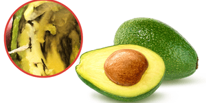 ¿Por qué la palta (aguacate) tiene hilos marrones? ¿Es seguro comerlos?