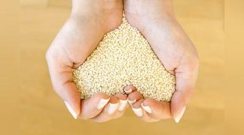 4 supersemillas a tu alcance: Chia, sacha inchi, ajonjolí y linaza