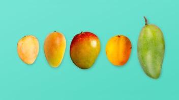 Los verdaderos fanáticos del mango conocen estas variedades